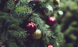 Christmas Functions at the Aviary